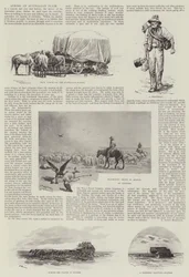 Over een Australische vlakte